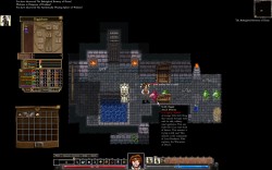dungeon3 Dungeons of Dredmor Diggles