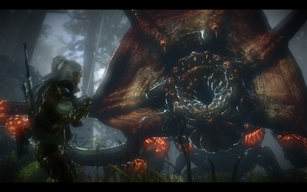 gomWitcher2 The Witcher 2