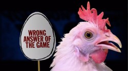 adviceguyYDKJ Chicken of Misfortune