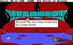 kqivwhale