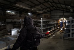 State of Decay | Grocery | Concept Art | Horrible Night State of Decay | Grocery | Concept Art | Horrible Night