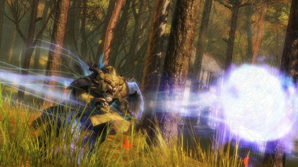Guild Wars 2