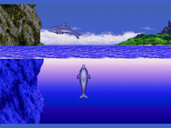 Ecco the Dolphin