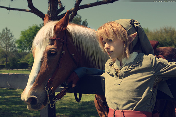 Link