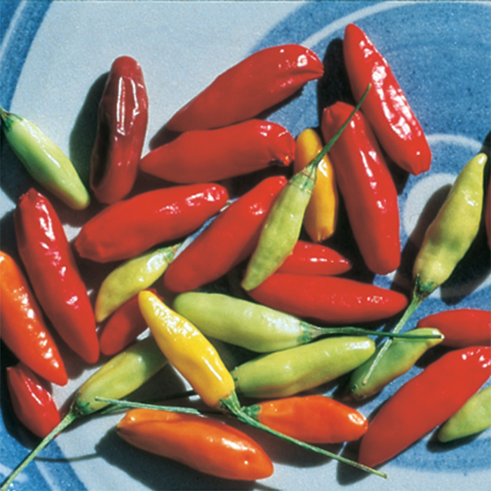 Tabasco Pepper, Hot Horticultural Products & Services