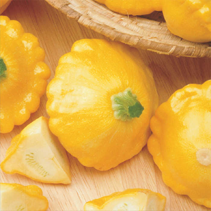 Sunny Delight Hybrid Squash, Summer Horticultural Products & Services