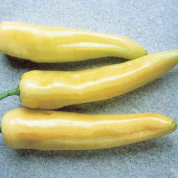 Hot Banana Pepper - Pixie Stakes