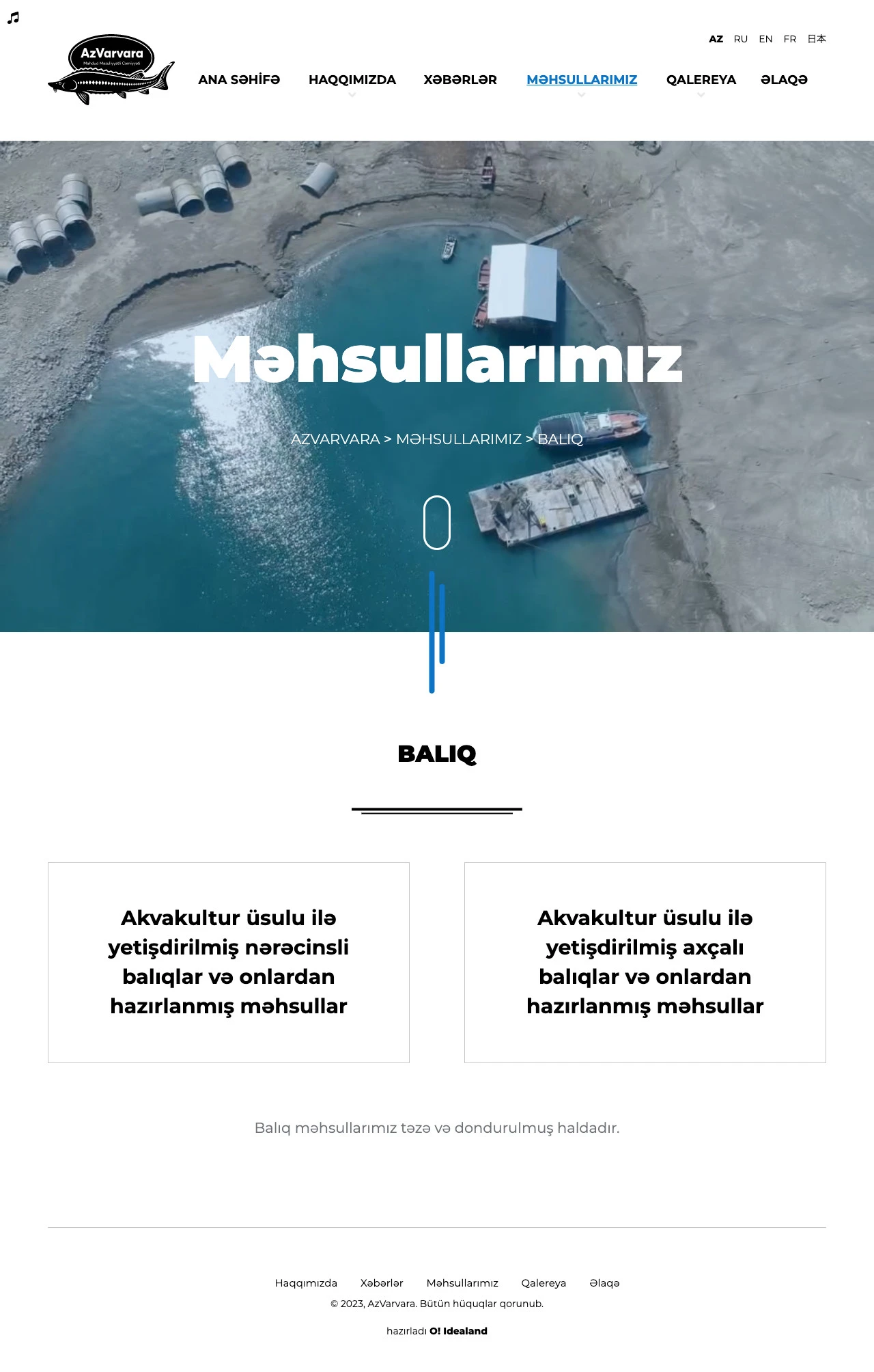 AzVarvara Company's Website 5