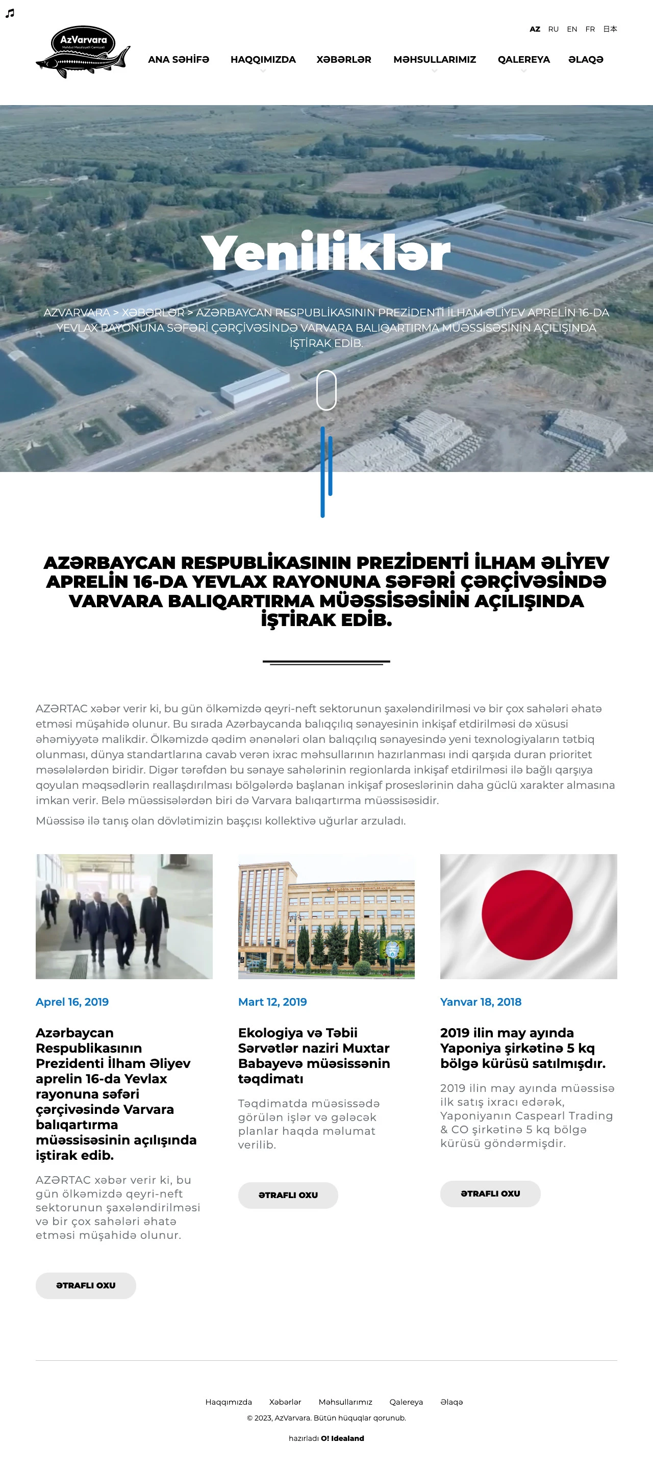 AzVarvara Company's Website 4