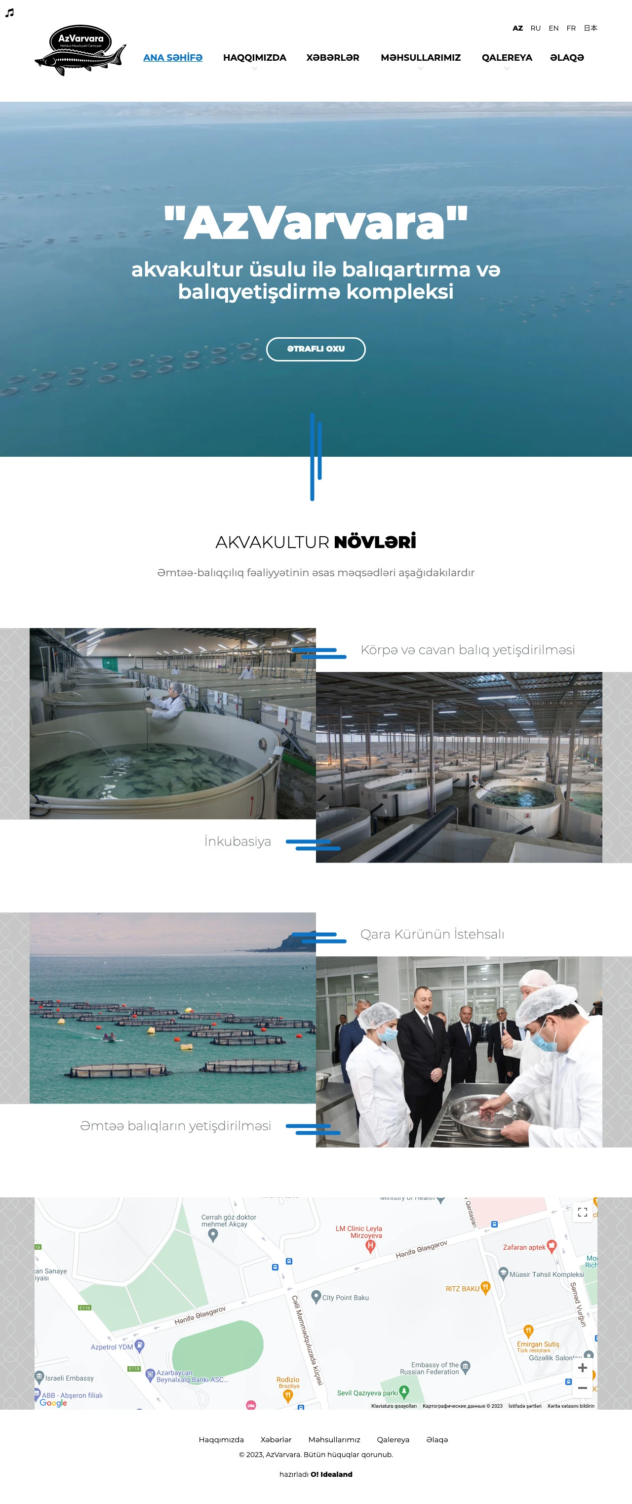 AzVarvara Company's Website 1