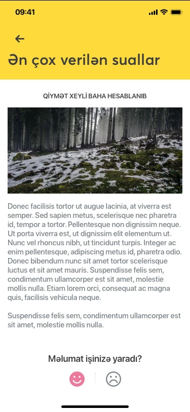 Мобильное приложение компании 158 Taksi 11