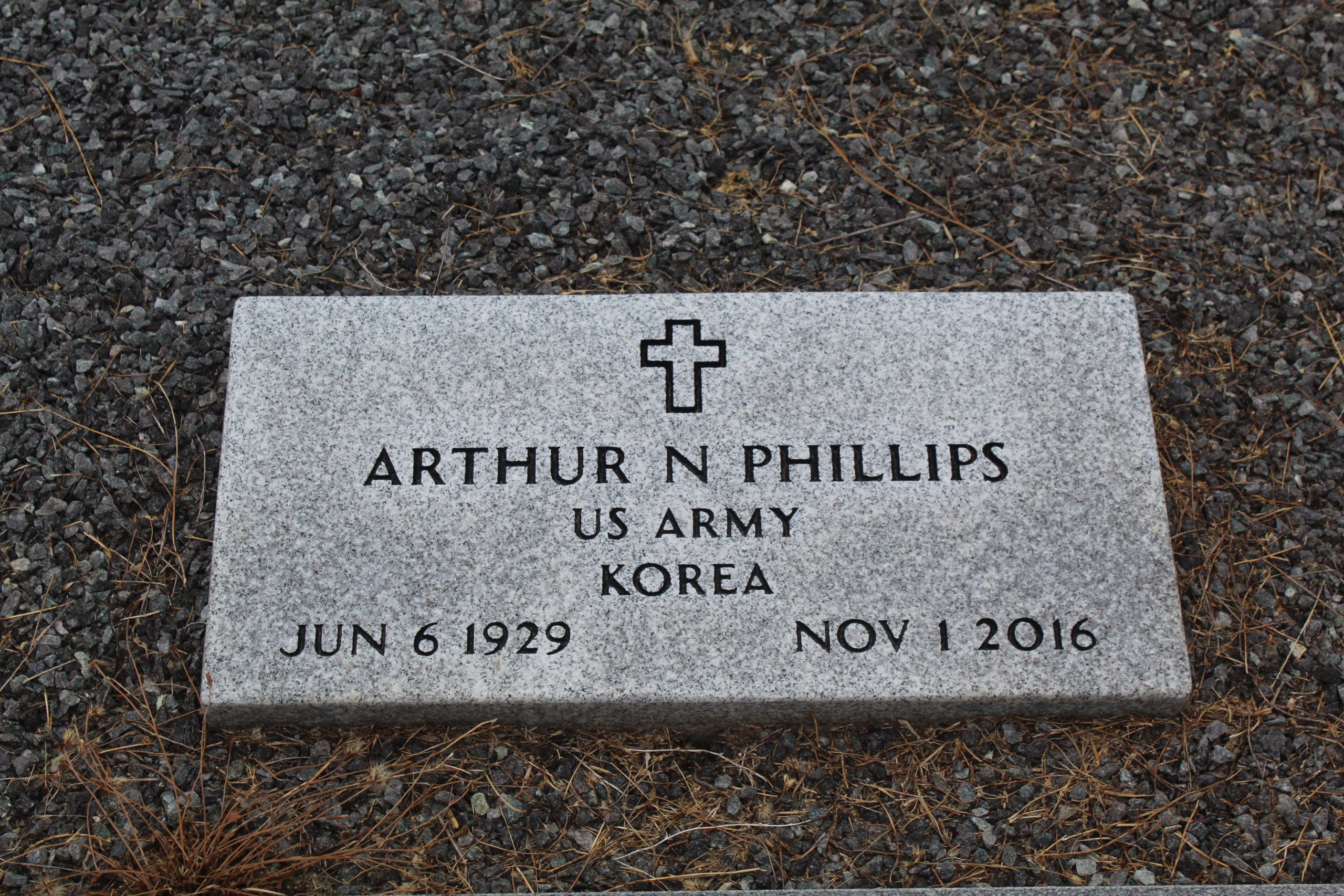 172132475_1559862736