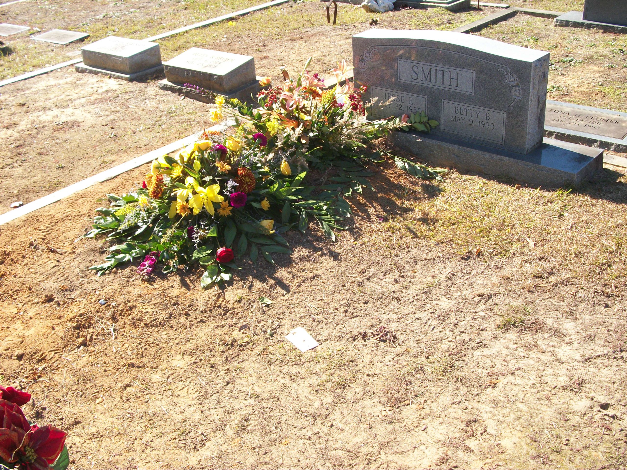 172984270_1480202776