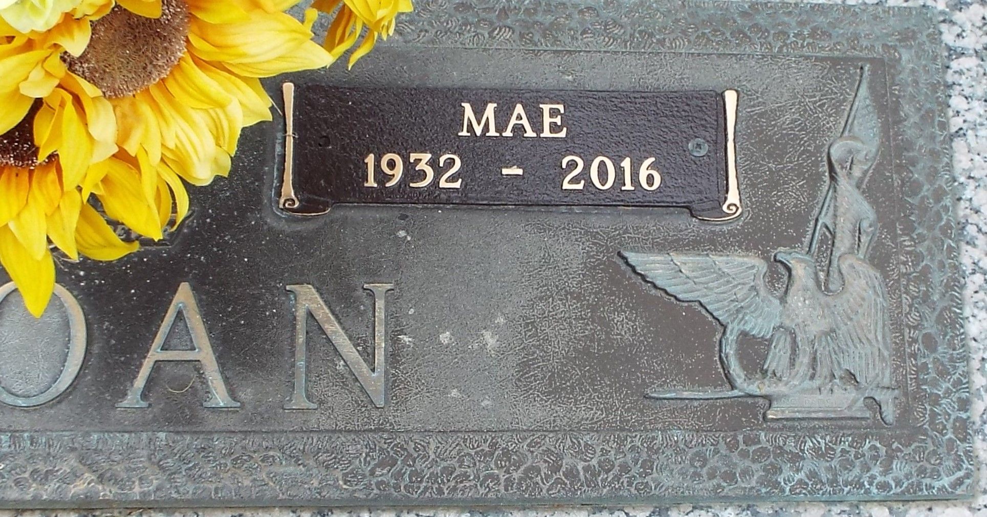 173433491_2b3d2a0f-c9fe-40ab-916f-8ef049aa1f46