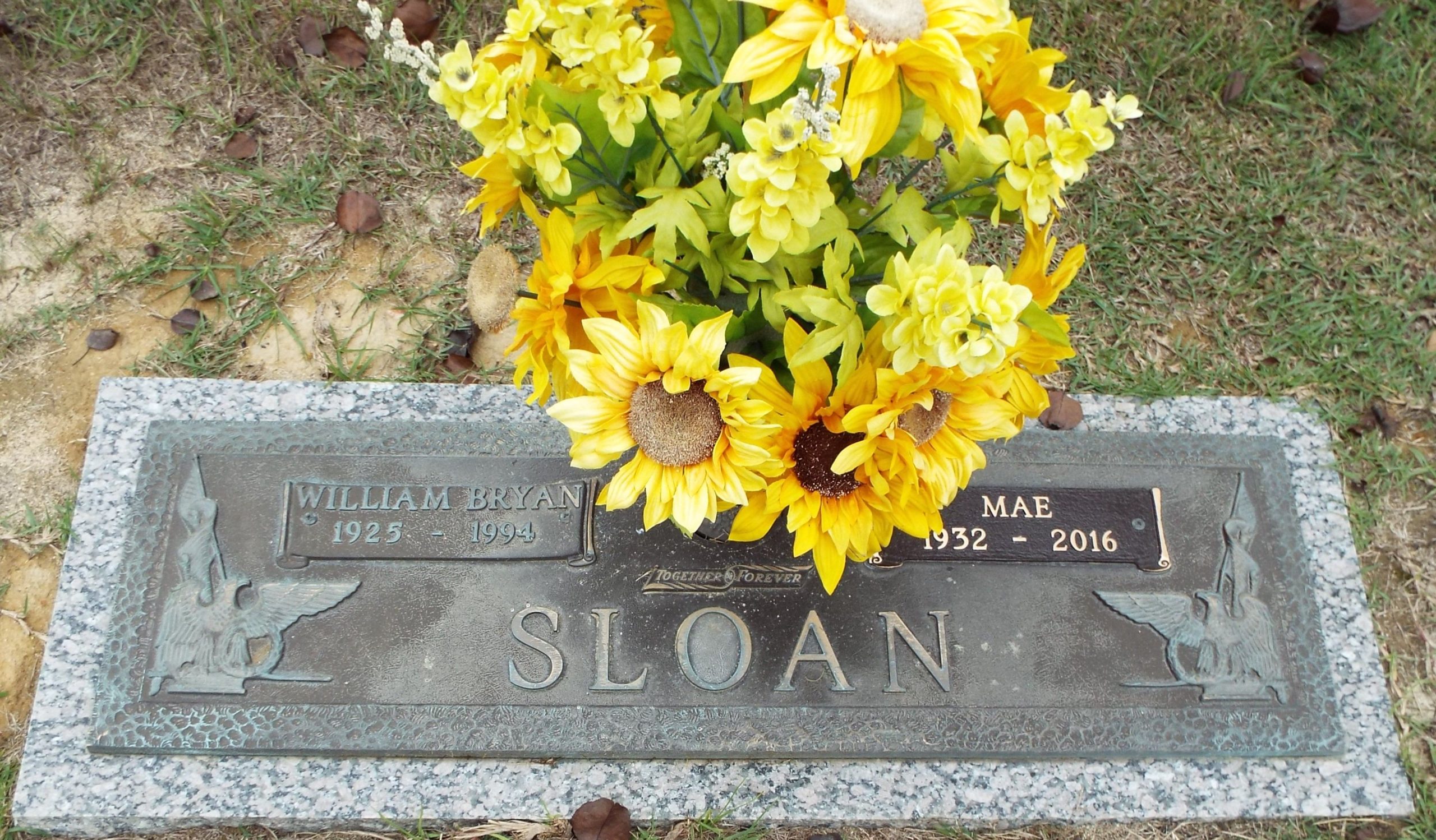 173433491_e08988d2-8b22-47fc-93c4-3e754b2a780f