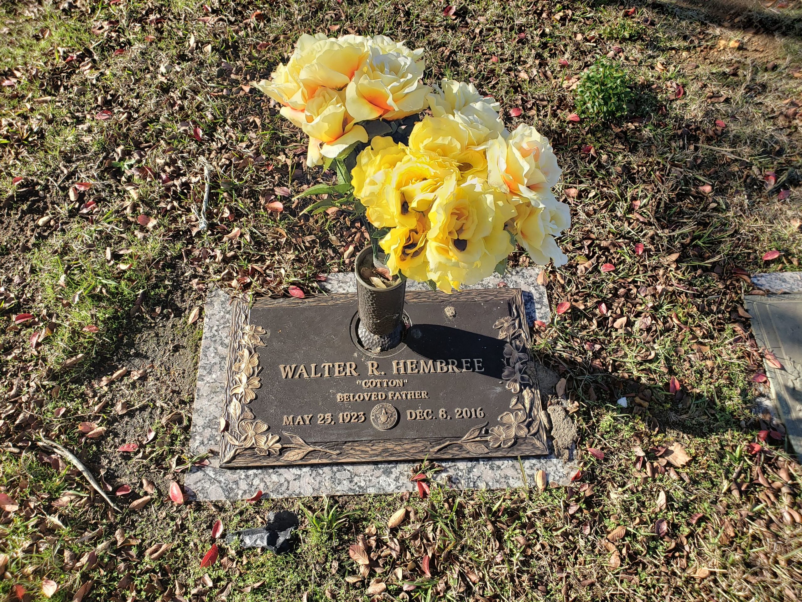 173668188_8623b9d4-df23-4f5d-8669-ece038a81df7