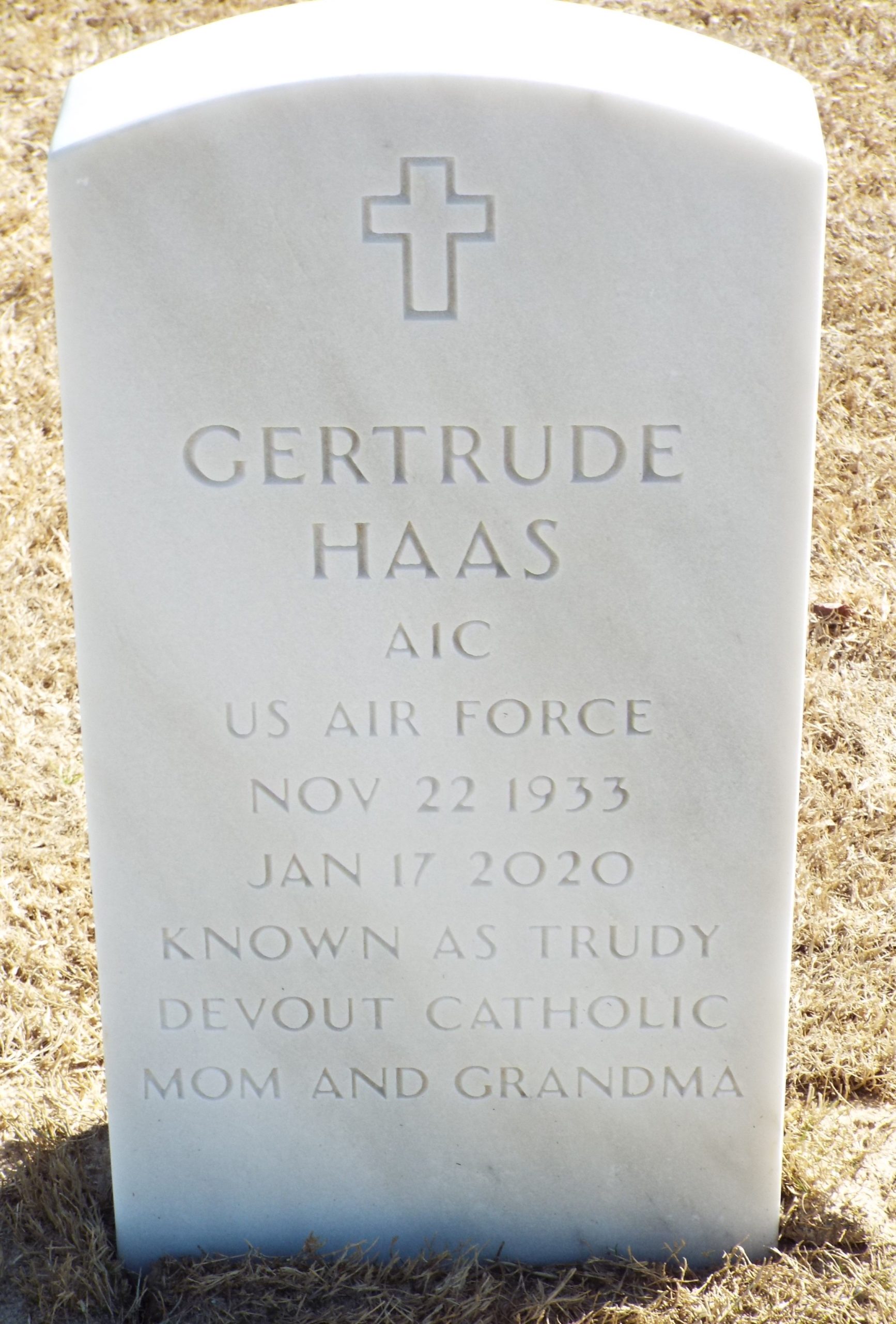 206362668_c2942bd0-cba9-4e66-bf12-010ee6ce760b