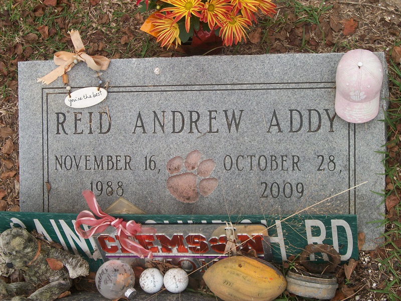 43674809_138275155538