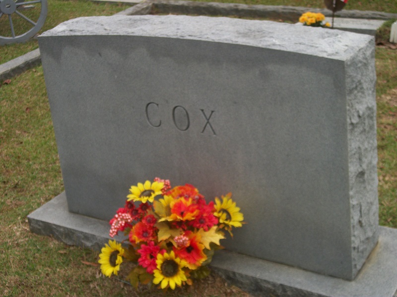 43674809_138275157678