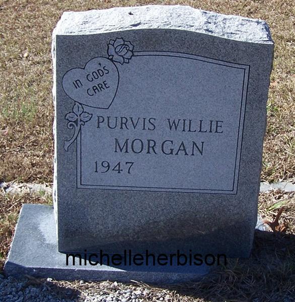 44314802_125823138926