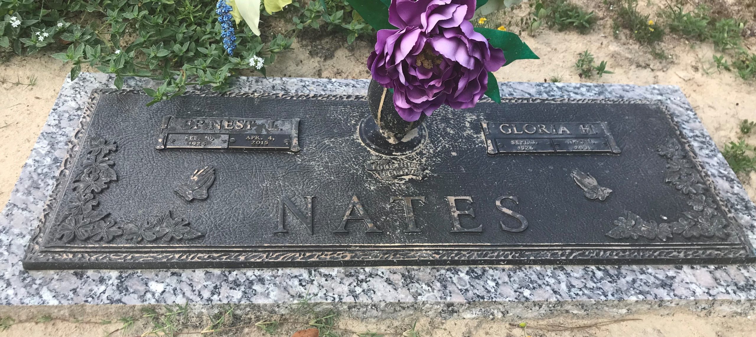 50005842_3009036c-a490-464f-a214-d80edf793481