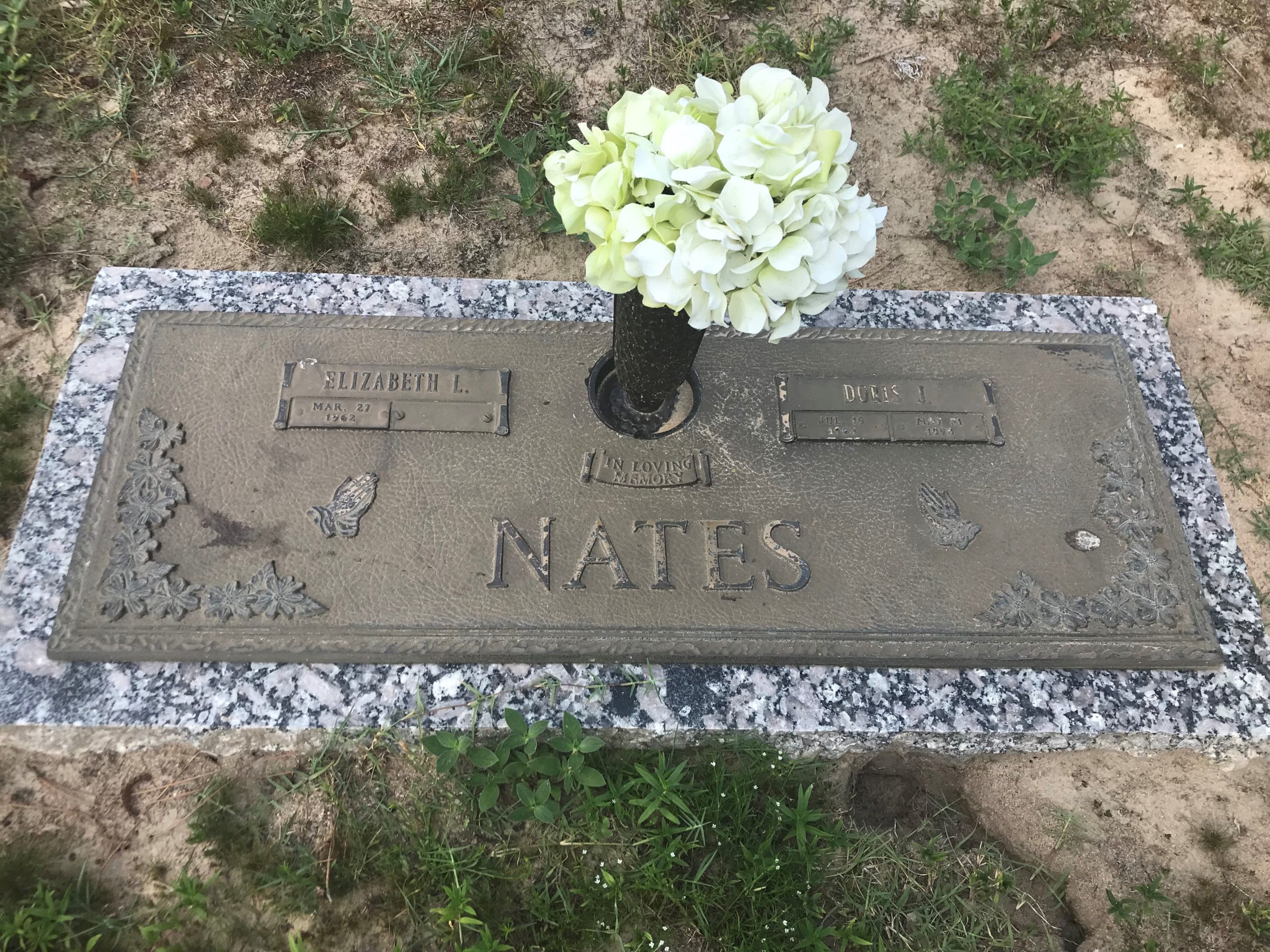 50005850_943ba6fb-24e9-4b4c-ac48-5b3d5325186f