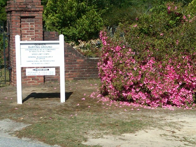 63438393_136226027017