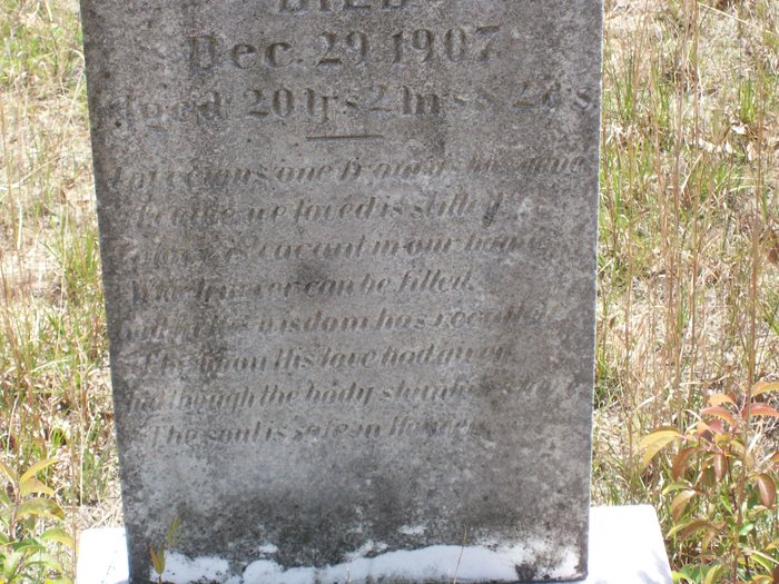 57751067_133538836226