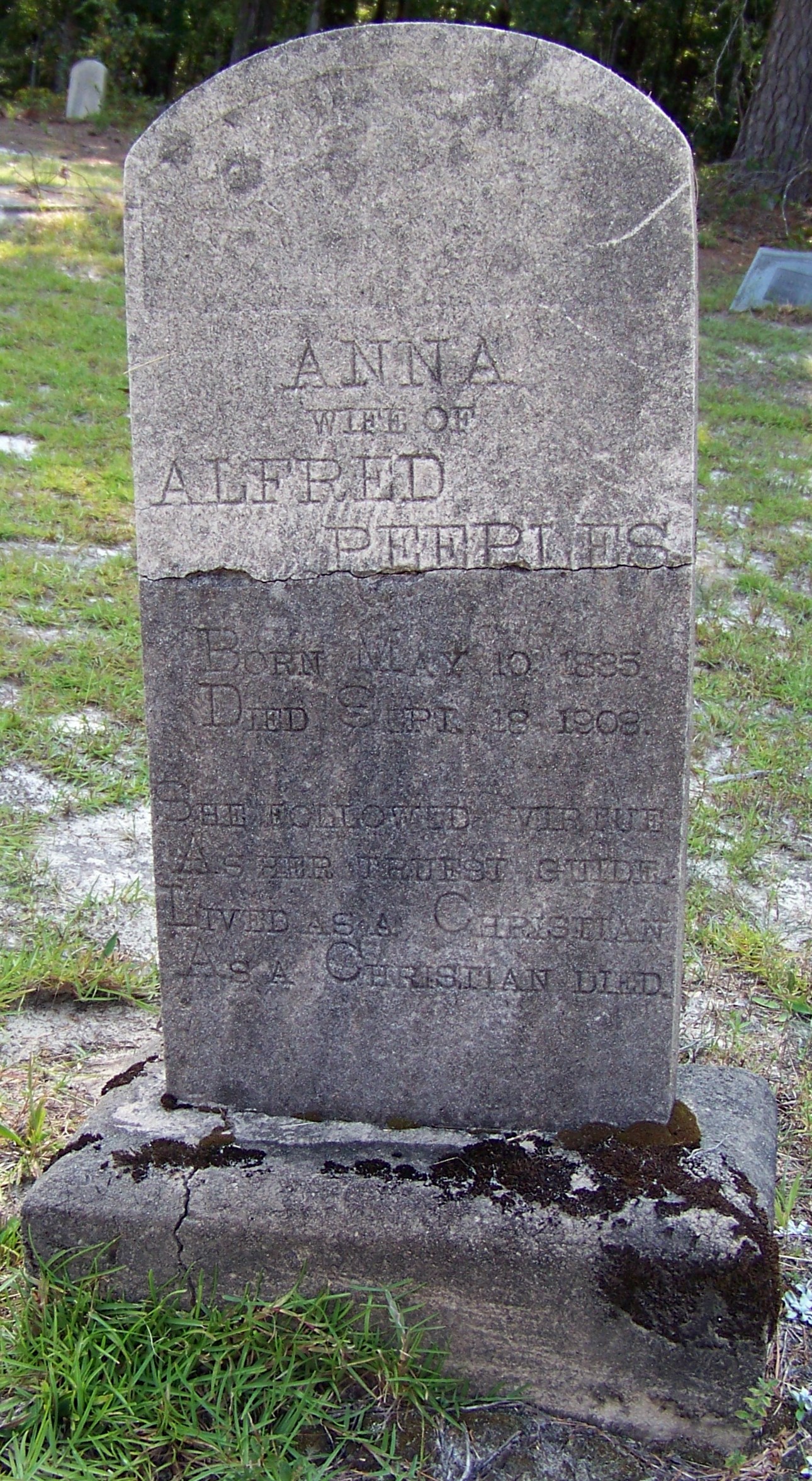 Anna Matilda Scarborough Peeples – Kershaw County, South Carolina History