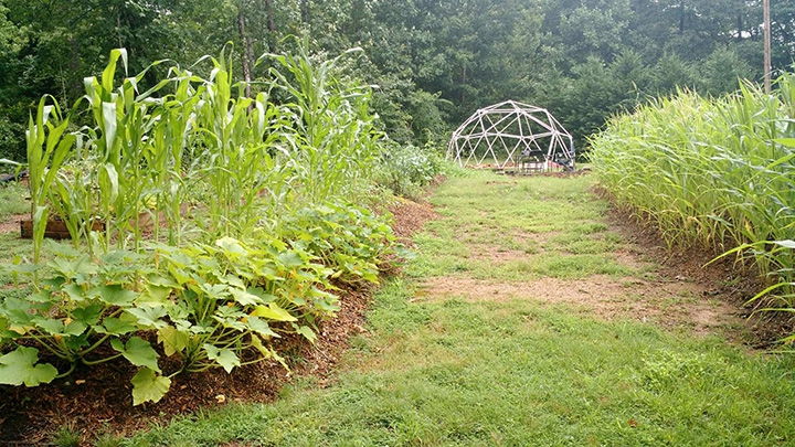 virginia home grown july