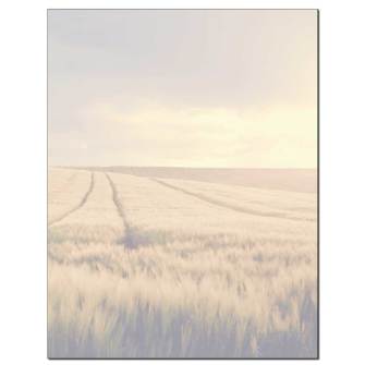 Rolling Wheat Field Letterhead