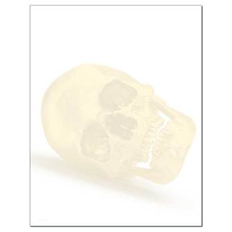 Shadow Skull Letterhead