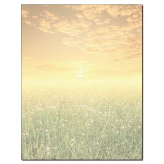 Sunrise Daisy Field Letterhead