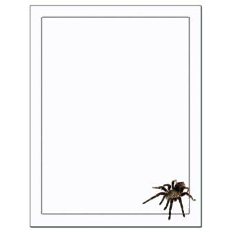 Tarantula Letterhead