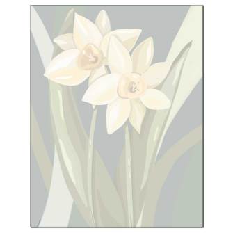 Daffodils Letterhead - 25 pack