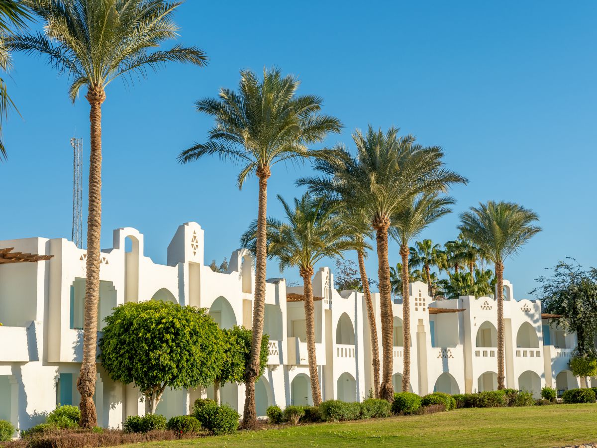 Курорты Красного моря: Шарм-эль-Шейх, Хургада и другие райские уголки