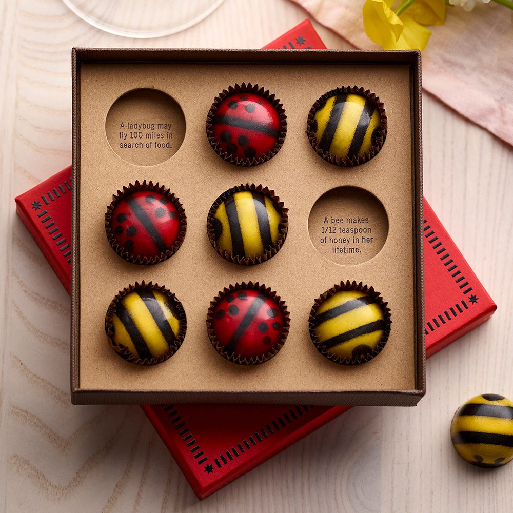 Valentine's Day Gifts including Ladybugs and Bees
