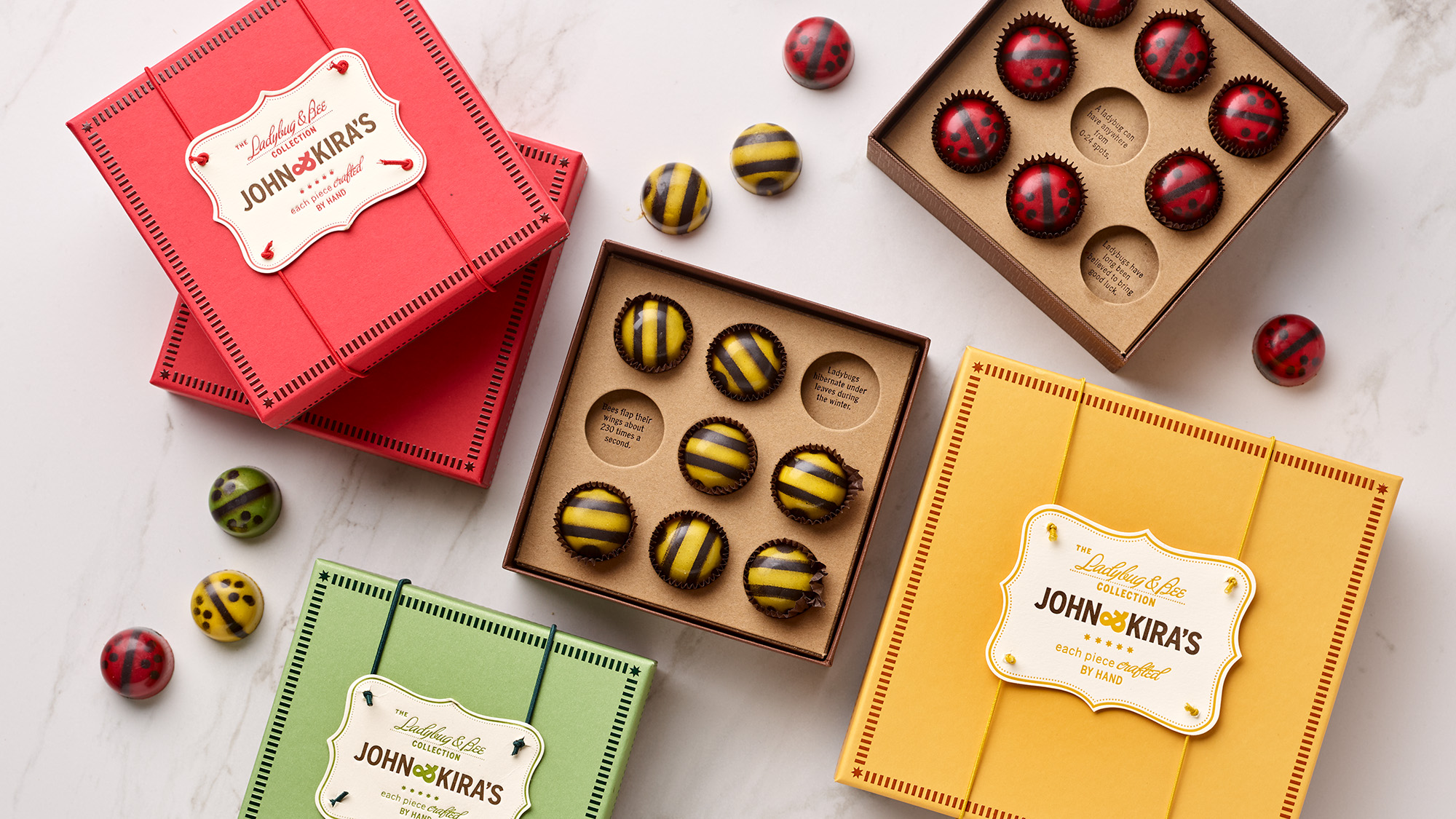 Ladybug and Bee Chocolates