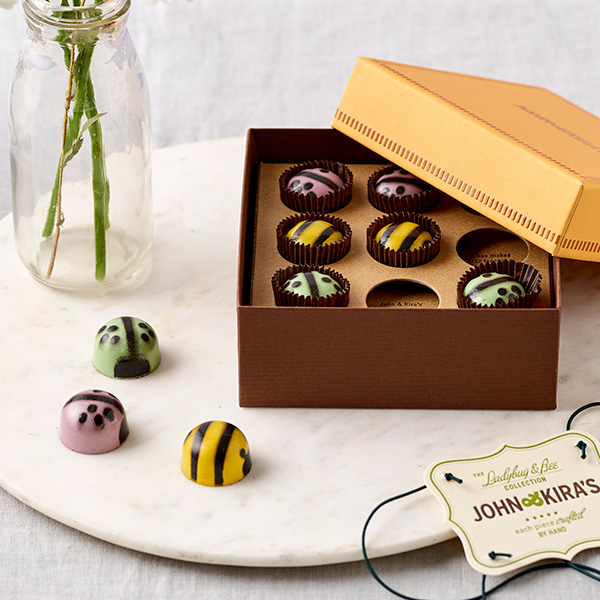 Product Image of Spring Ladybugs & Bees 9pc