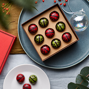 Product Image of Holiday Ladybugs 9pc