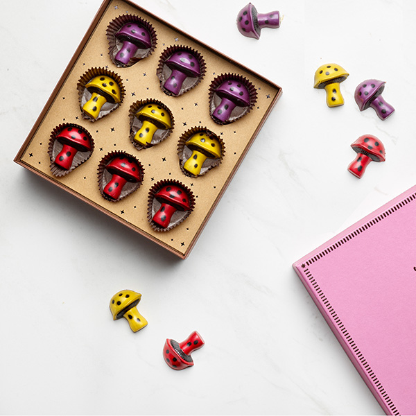 ENCHANTED COLLECTIONS