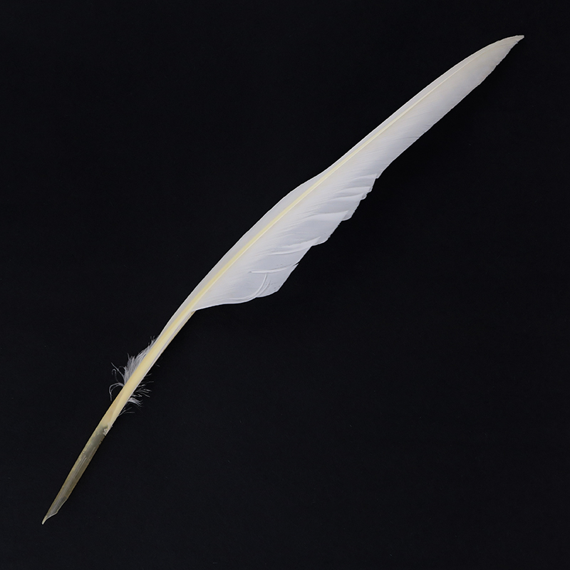 CUT Goose Quill, Quills John Neal Bookseller