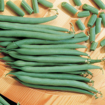 Top Crop Bush Bean