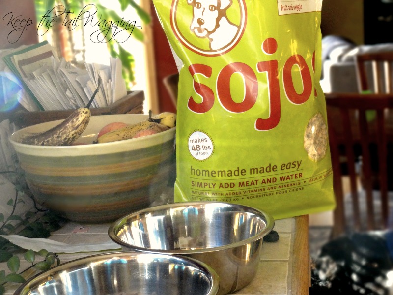 My Biased Thoughts on The Honest Kitchen and Sojos Keep the Tail Wagging