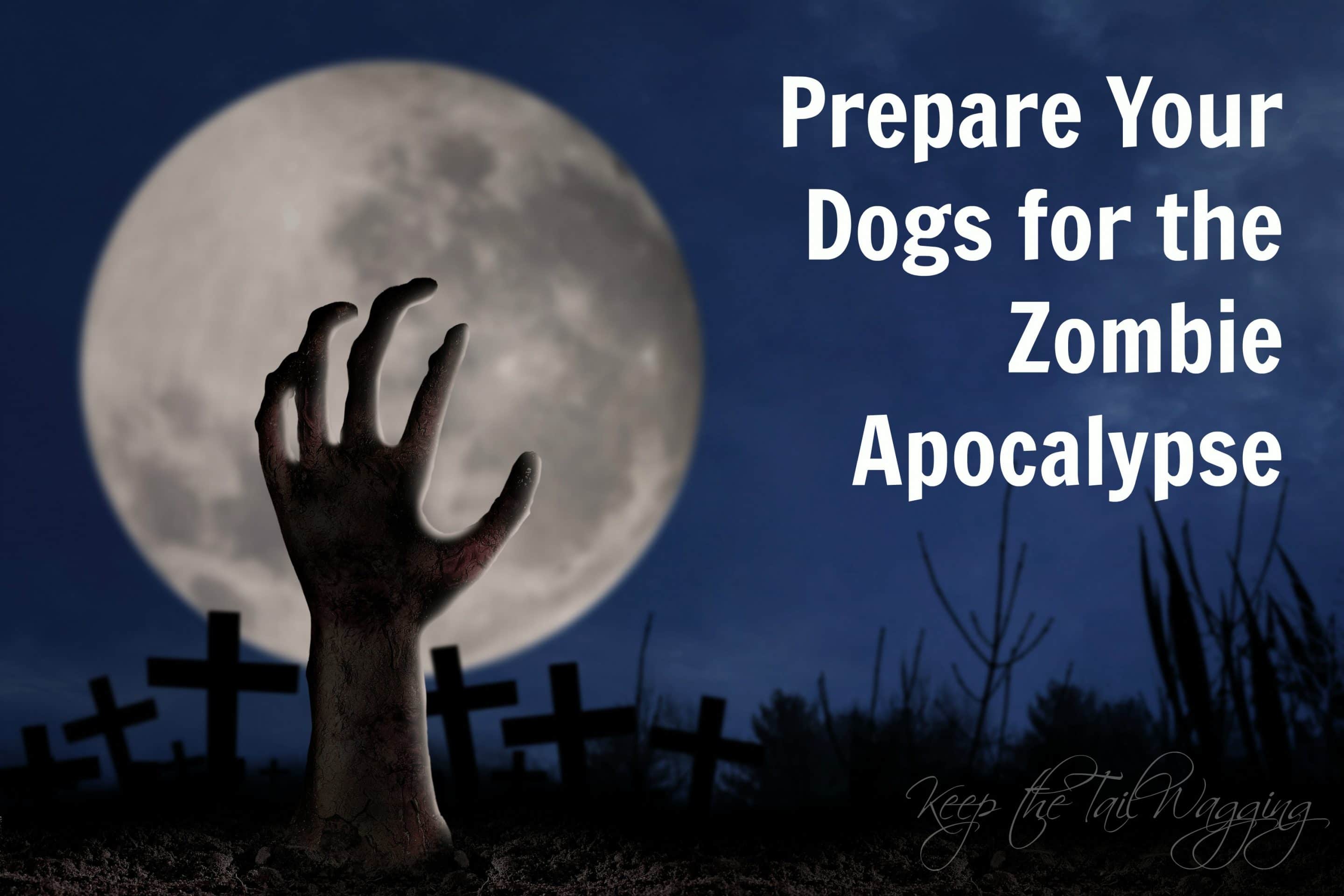 Prepare Your Dogs for the Zombie Apocalypse Keep the Tail Wagging
