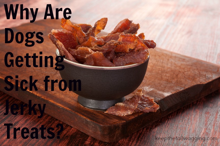Why Are Dogs Getting Sick from Jerky Treats? Keep the Tail Wagging