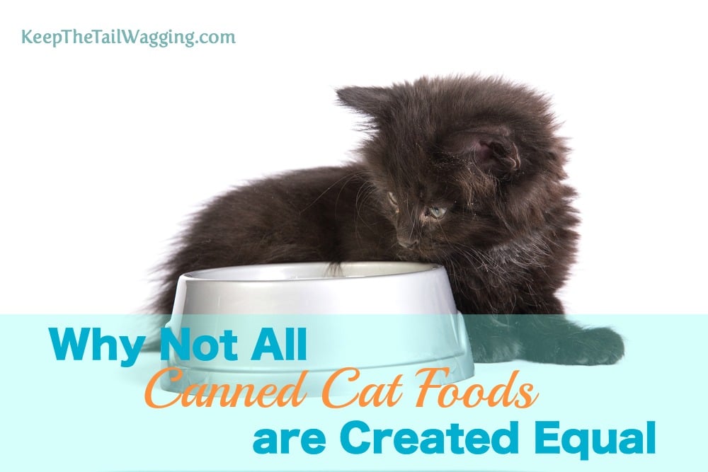 Why Not All Canned Cat Foods are Created Equal Keep the Tail Wagging