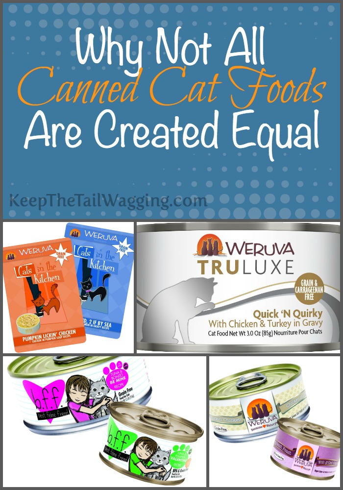 Why Not All Canned Cat Foods are Created Equal Keep the Tail Wagging