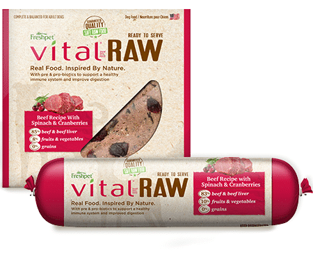 freshpet raw