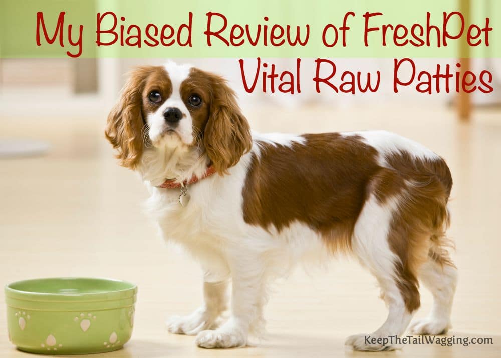 My Biased Review of FreshPet Vital Raw Patties Keep the Tail Wagging